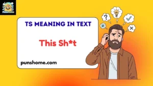 TS Meaning in Text