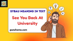 SYBAU Meaning in Text